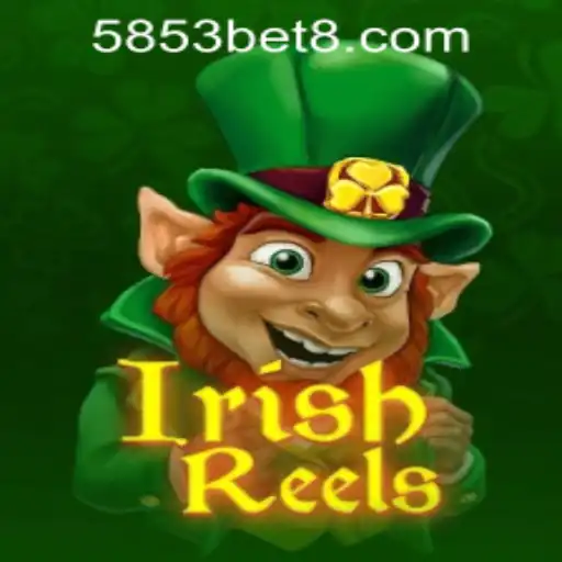 Exploring the Charm of IrishReels: A Comprehensive Guide